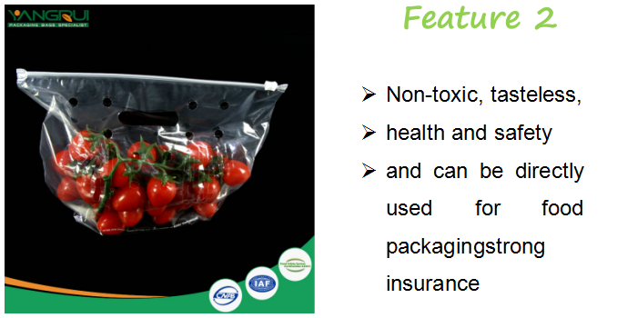 cpp meyve torbası.png