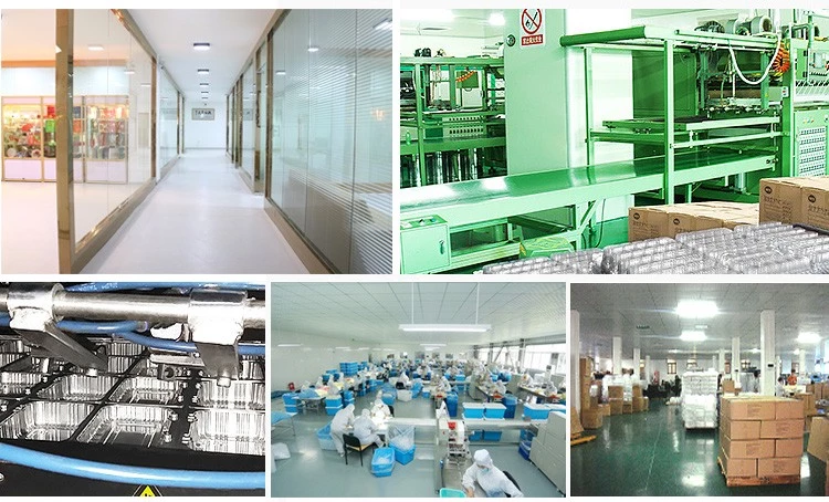 2 compartment plastic food container disposable lunch box