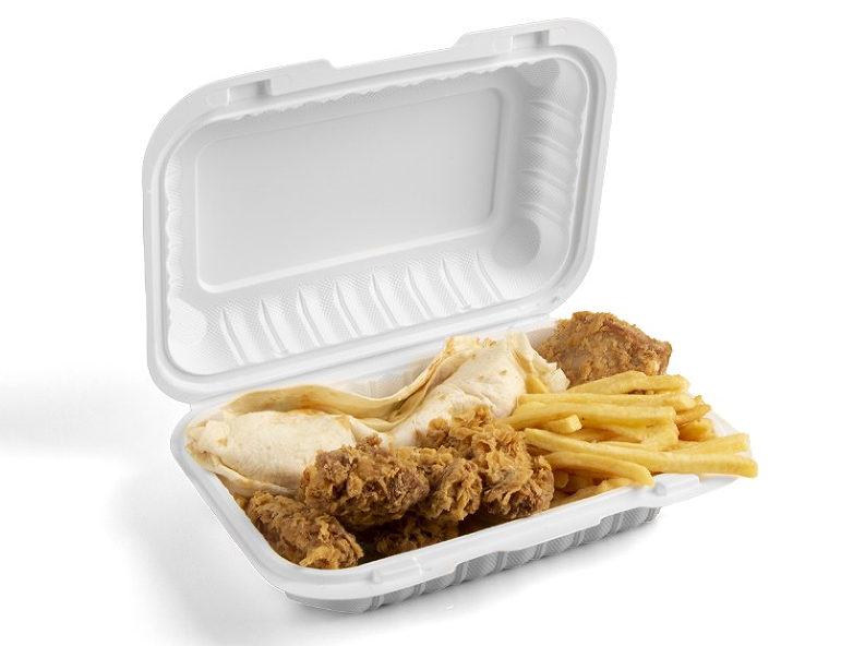 disposable lunch box