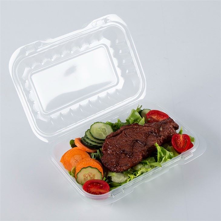 9x6 Transparent Clamshell Takeout Box