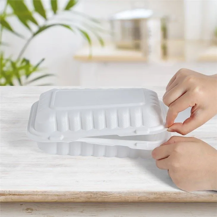 Gıda Ambalaj Kutusu