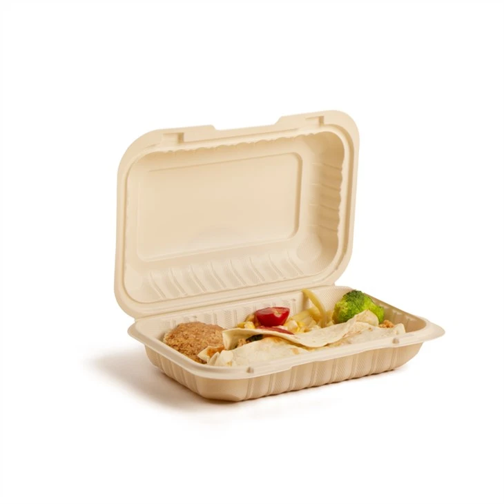 Termoform 9x6 inç Mikrodalgaya Uygun PP Gıda Kabı Tek Kullanımlık Plastik Bento Öğle Yemeği Kutuları