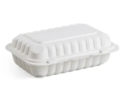 9x6 İnç MFPP Çıkış Kutusu