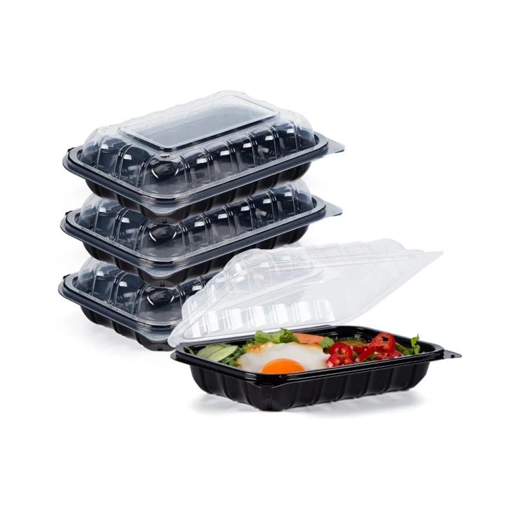 Çevre Dostu Seçim: Taze, Hareket Halinde Yemek İçin Tek Kullanımlık Plastik Gıda Kapları