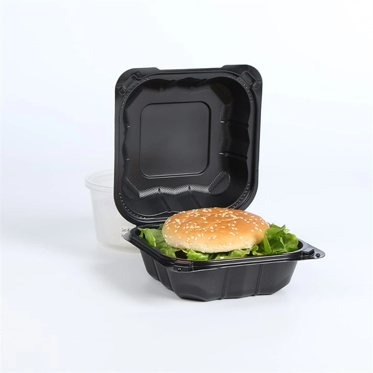 Çevre Dostu Tek Kullanımlık Bento Kutusu