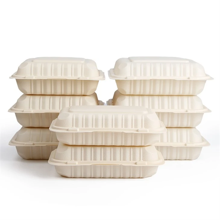 Menteşeli Plastik Paket Servis Kapları