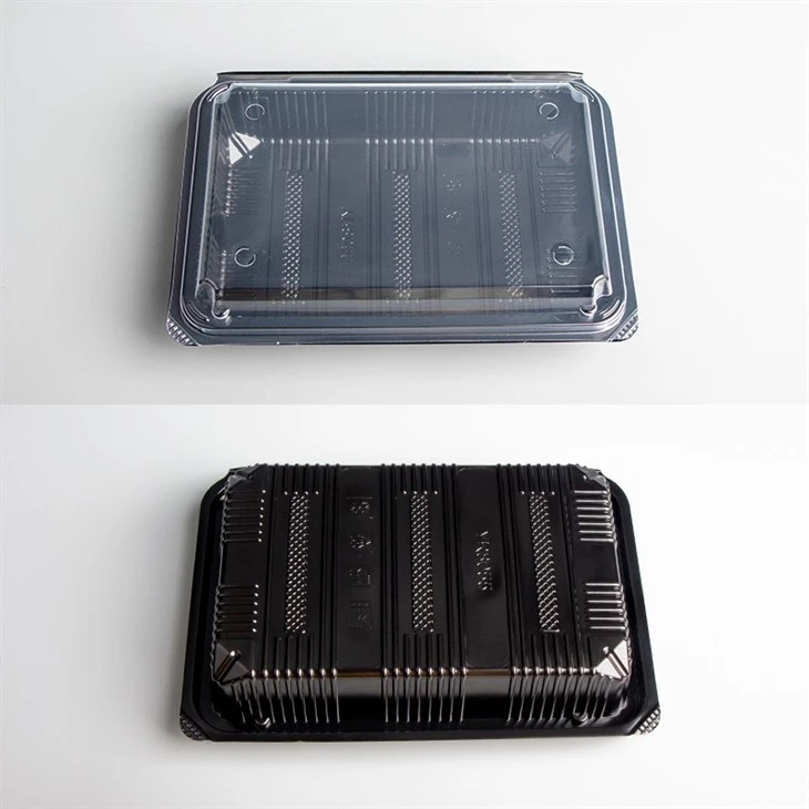 Meal Prep Food Container Dual Colors