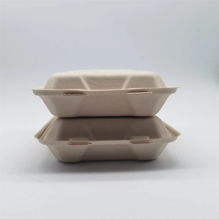 Paper Pulp Food Container Clamshell