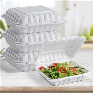Plastik Kapaklı Paket Yemek Kabı