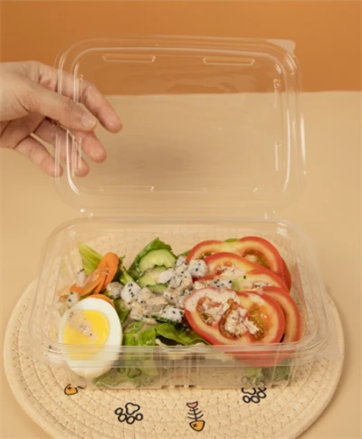 Plastik Salata Kaseleri Dikdörtgen