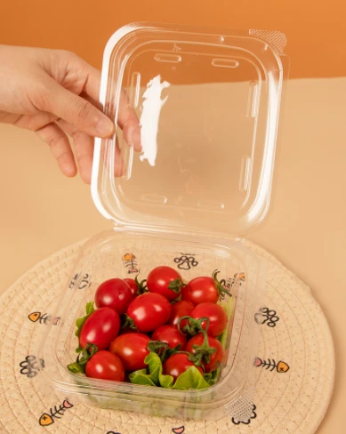 Plastik Salata Kaseleri Kare
