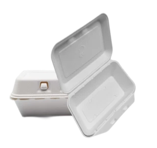 Gidilecek Konteynerler Bagasse