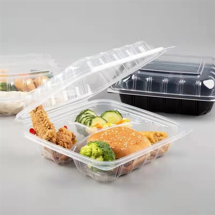 Şeffaf Paket Servis Kapaklı Gıda Kabı