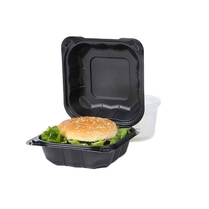 Paket Servis İçin Gıda Kabı