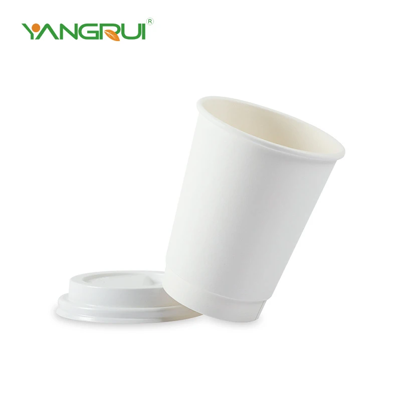 Kağıt Paket Servis Kapları