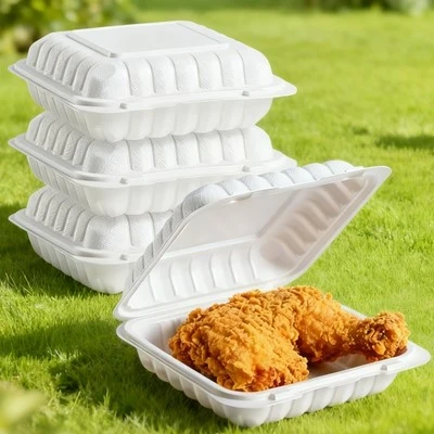 hinged to go box.jpg