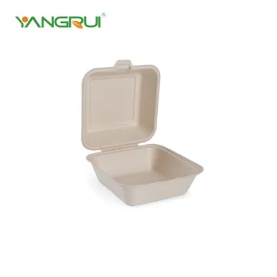 Eco Friendly Takeout Container