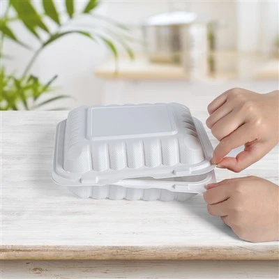 Hinged Lid Take Out Container